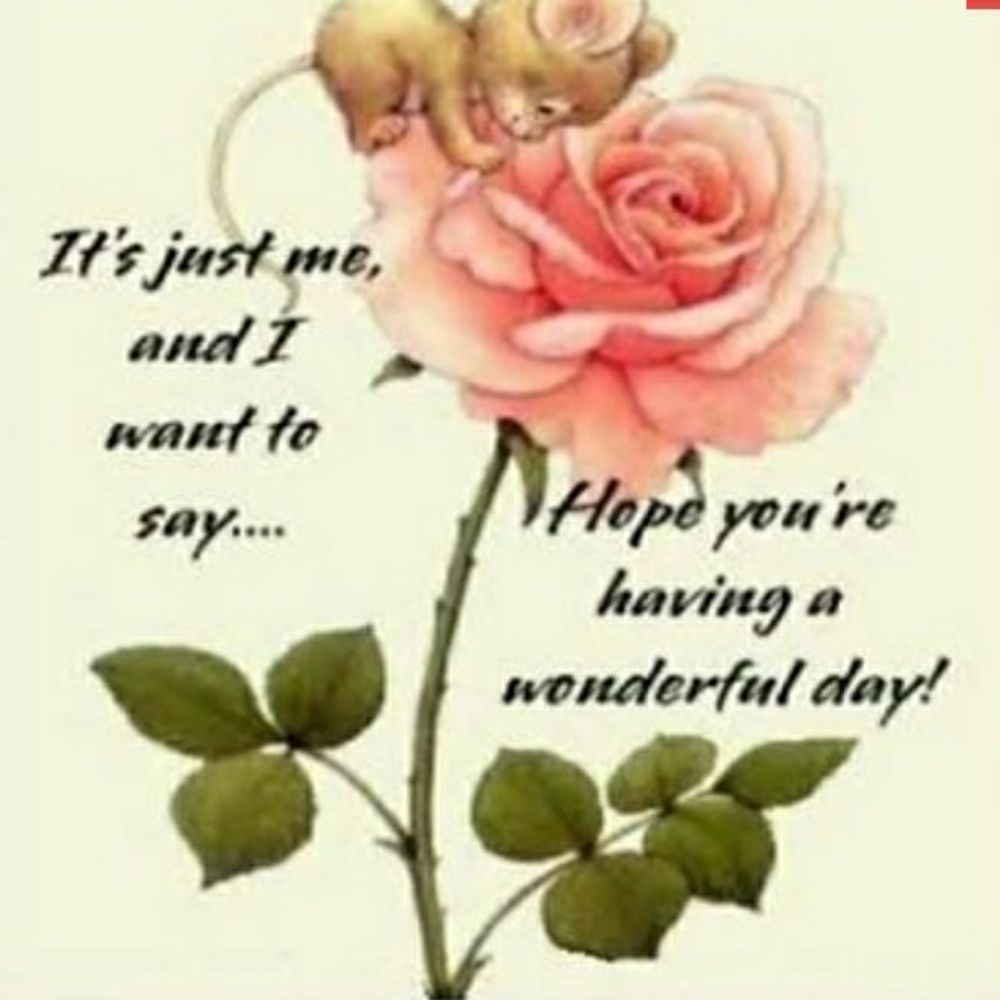 💞Happy Valentines 💞